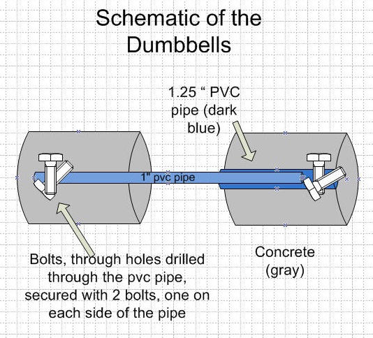 Schematic of the dumbbells