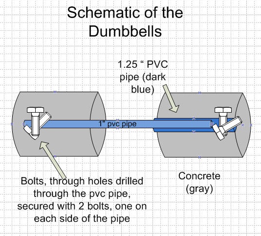 Schematic of the dumbbells